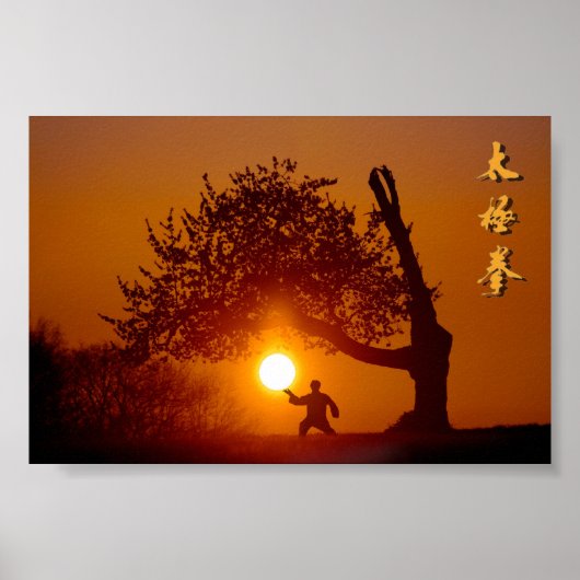 Taichi (taiji), arbre cerisier soleil couchant poster (Voorkant)