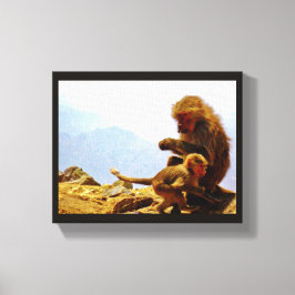 Taif Baboons Canvas Afdruk