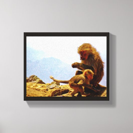 Taif Baboons Canvas Afdruk (Voorkant)