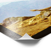 Taif Baboons Foto Afdruk (Hoek)