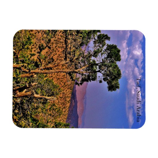 Taif, Saudi-Arabië Magneet (Horizontaal)