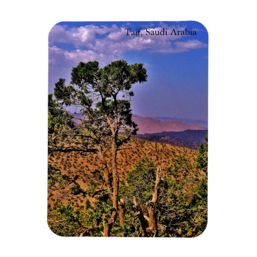 Taif, Saudi-Arabië Magneet (Verticaal)