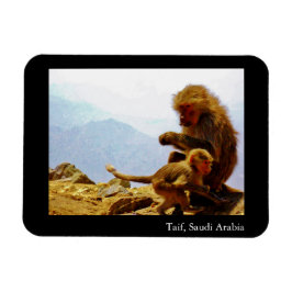 Taif, Saudi-Arabië Magneet
