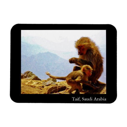 Taif, Saudi-Arabië Magneet (Horizontaal)