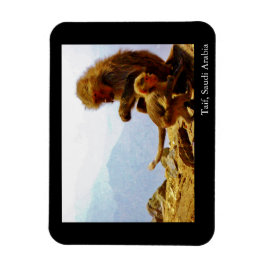 Taif, Saudi-Arabië Magneet