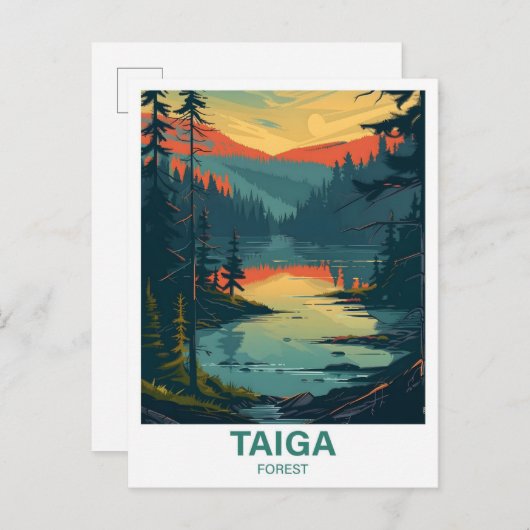 Taiga Forest Illustratie Reizen Briefkaart (Voorkant / Achterkant)