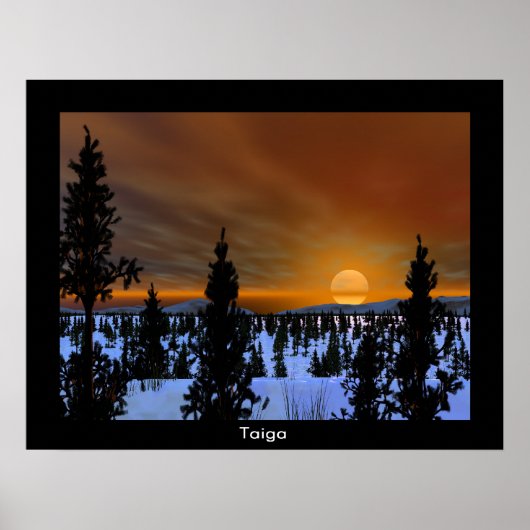 Taiga Poster (Voorkant)