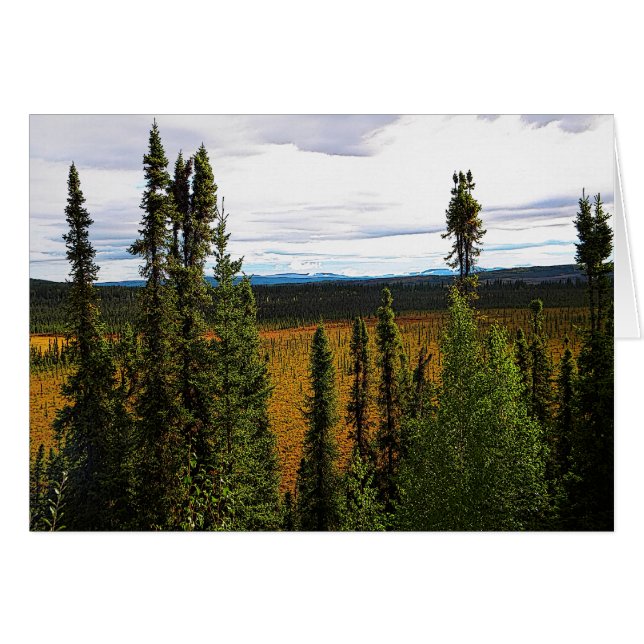 Taiga Summer (Voorkant Horizontaal)