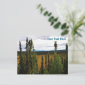 Taiga Summer Briefkaart (Staand voorkant)