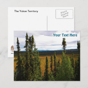 Taiga Summer Briefkaart