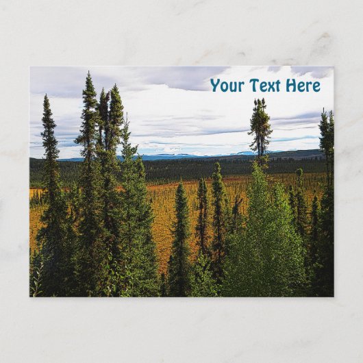 Taiga Summer Briefkaart (Voorkant)