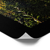 Taiga Summer Poster (Hoek)