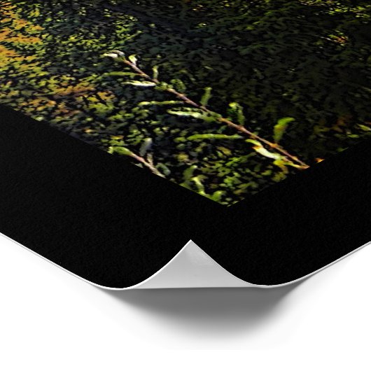 Taiga Summer Poster (Hoek)