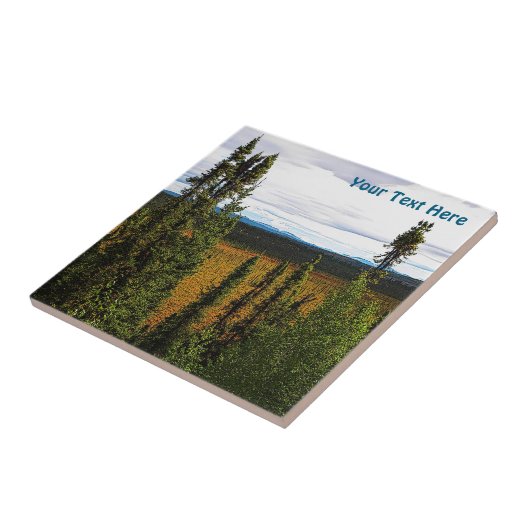 Taiga Summer Tegeltje (Zijkant)