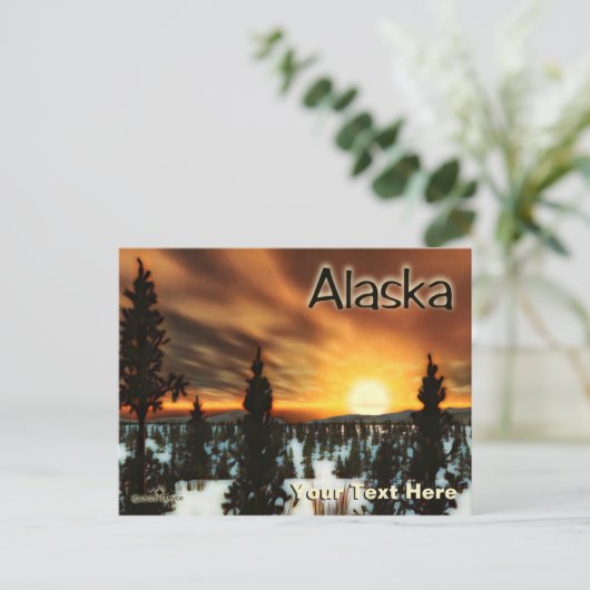 Taiga Sun - Alaska Briefkaart (Staand voorkant)