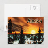 Taiga Sun - Alaska Briefkaart (Voorkant / Achterkant)