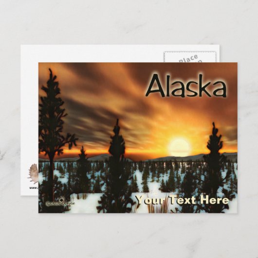 Taiga Sun - Alaska Briefkaart (Voorkant / Achterkant)