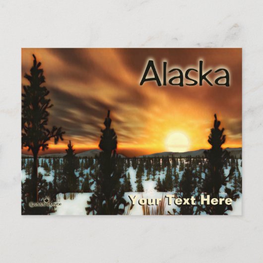 Taiga Sun - Alaska Briefkaart (Voorkant)