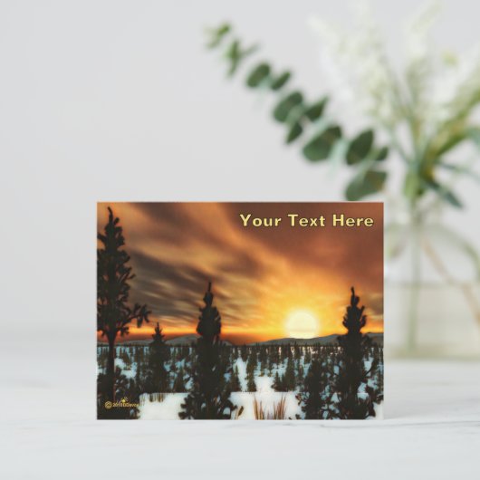 Taiga Sun Briefkaart (Staand voorkant)