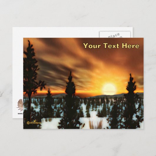 Taiga Sun Briefkaart (Voorkant / Achterkant)