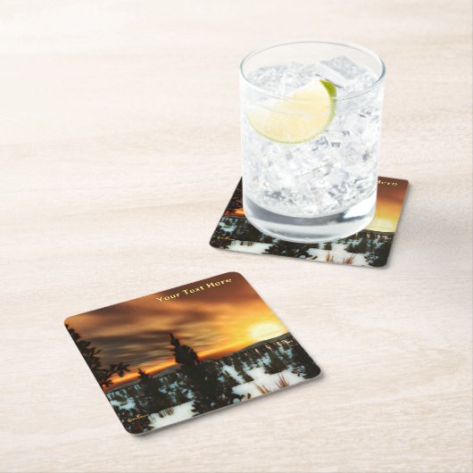 Taiga Sun Kartonnen Onderzetters (Insitu)