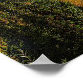 Taiga Zomer Poster (Hoek)