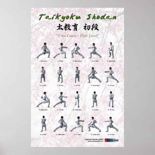 Taikyoku Shodan - First Kata Poster (Voorkant)