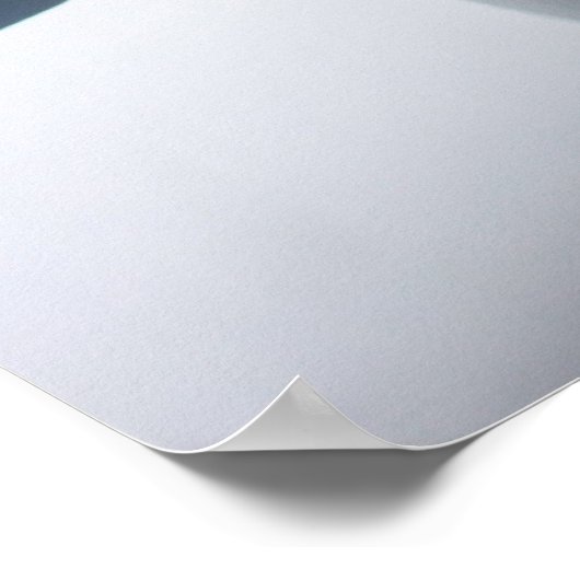 Tail Fin Poster (Hoek)