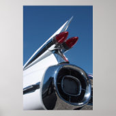 Tail Fin Poster (Voorkant)