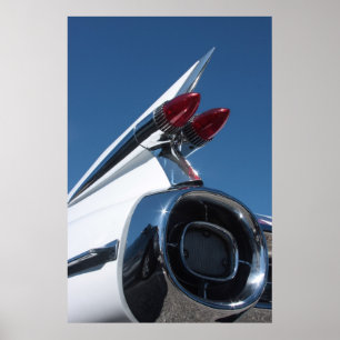 Tail Fin Poster