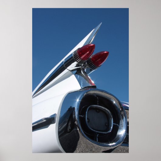 Tail Fin Poster (Voorkant)