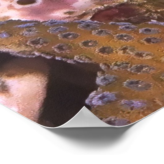 Tail Spot Blenny Poster (Hoek)