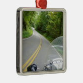 Tail van de draak metalen ornament (Rechts)