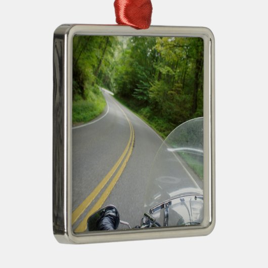 Tail van de draak metalen ornament (Rechts)