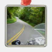 Tail van de draak metalen ornament (Voorkant)