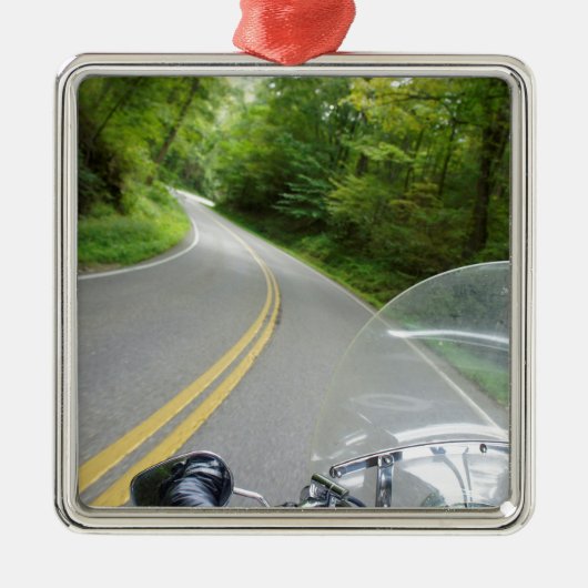 Tail van de draak metalen ornament (Voorkant)