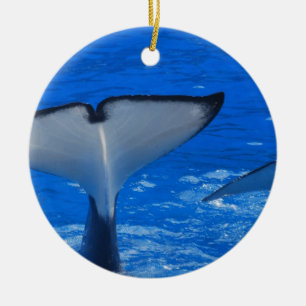 Tail van een groothandelsversiering keramisch ornament