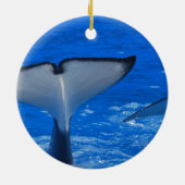 Tail van een groothandelsversiering keramisch ornament (Achterkant)