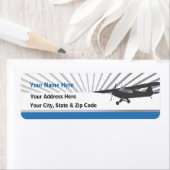 Taildragger-vliegtuig Etiket (Insitu)