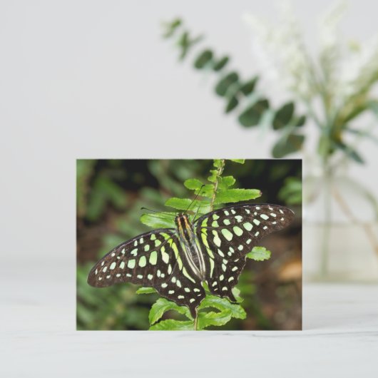 Tailed Jay-vlinder Briefkaart (Staand voorkant)