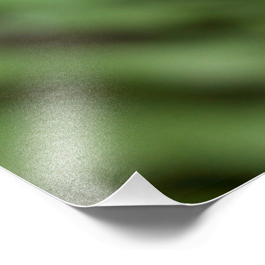 Tailed Jay-vlinder Foto Afdruk (Hoek)