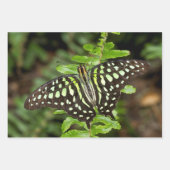 Tailed Jay-vlinder Inpakpapier Vel (Voorkant 3)