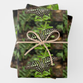 Tailed Jay-vlinder Inpakpapier Vel (In situ)