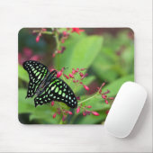 Tailed Jay-vlinder Muismat (Met muis)
