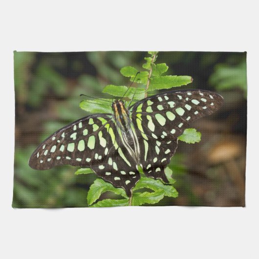 Tailed Jay-vlinder Theedoek (Horizontaal)