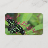 Tailed Jay-vlinder Visitekaartje (Achterkant)