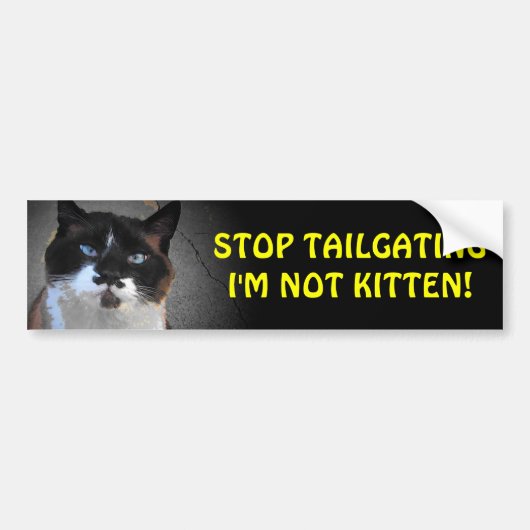 Tailgate Ik ben geen kitten Bumpersticker (Voorkant)