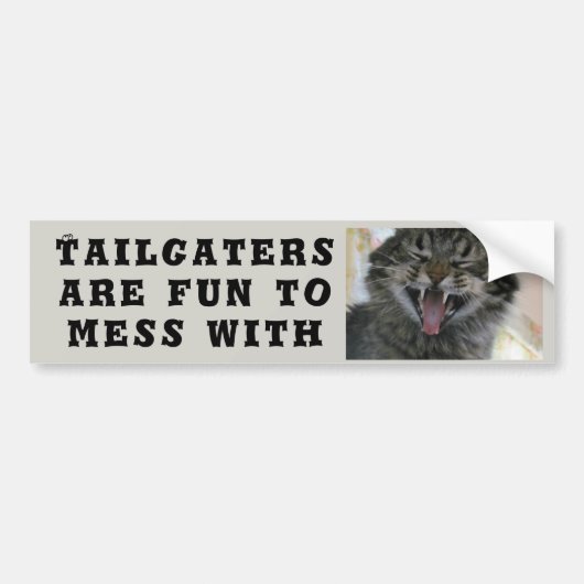 Tailgaters zijn leuk om te rommelen met kattenmeme bumpersticker (Voorkant)