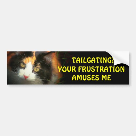 Tailgating? Jouw frustratie amuseert mijn Calico Bumpersticker (Voorkant)