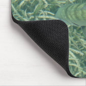 Tailing Bonefish Muismat (Hoek)